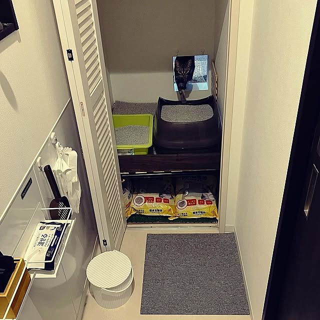 バス/トイレ/猫/猫トイレのインテリア実例 - 2023-05-06 10:56:56