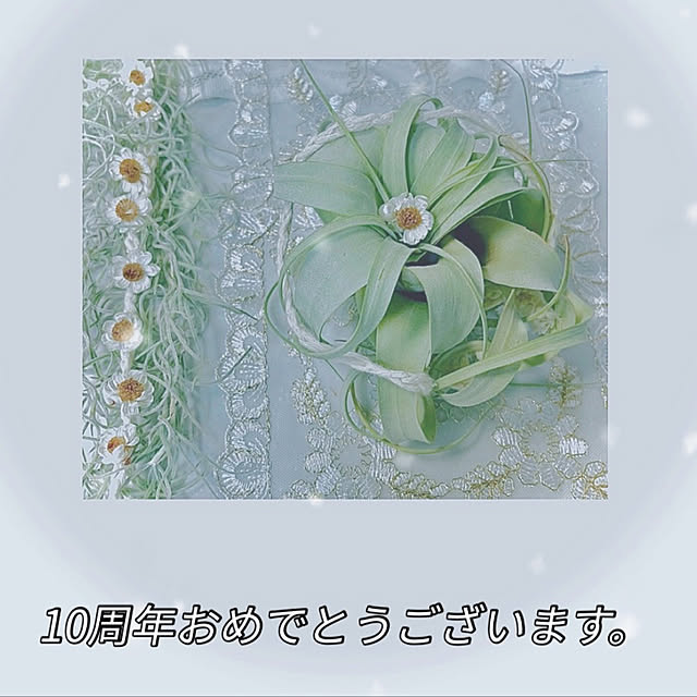 fuuさんの実例写真