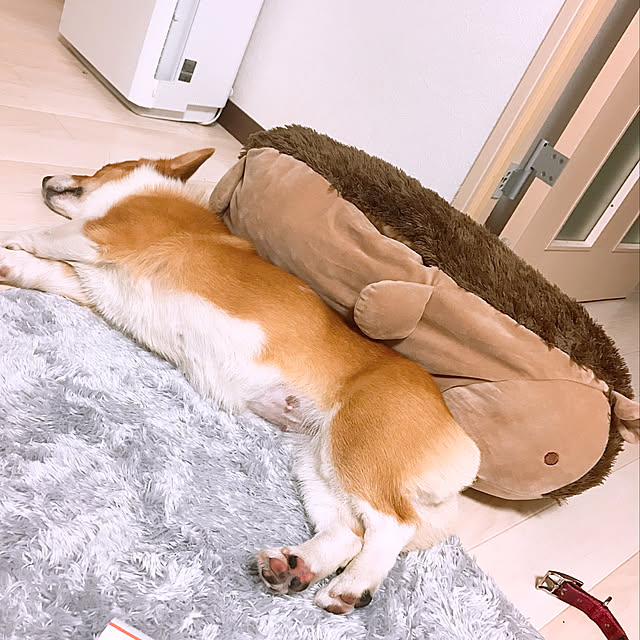 anna.さんの実例写真