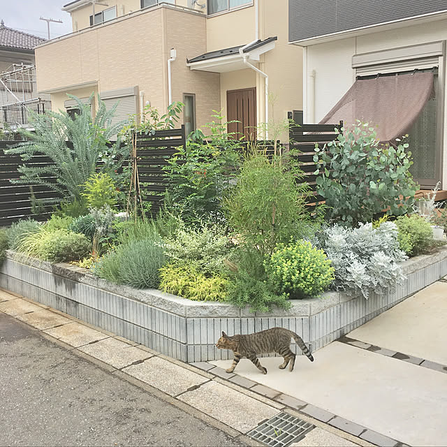 oxoxさんの実例写真