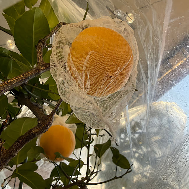 Aqettyさんの部屋