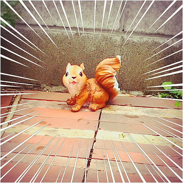 Newtypeさんの実例写真