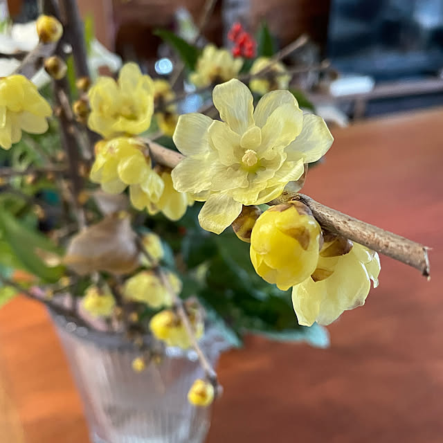 buchiさんの部屋