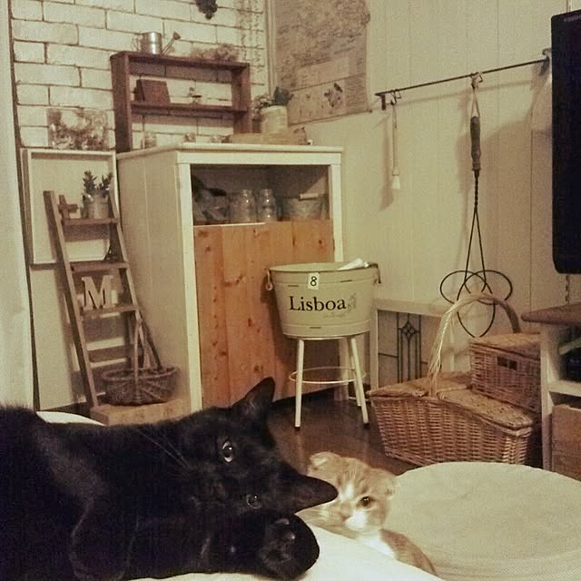 mikiさんの実例写真