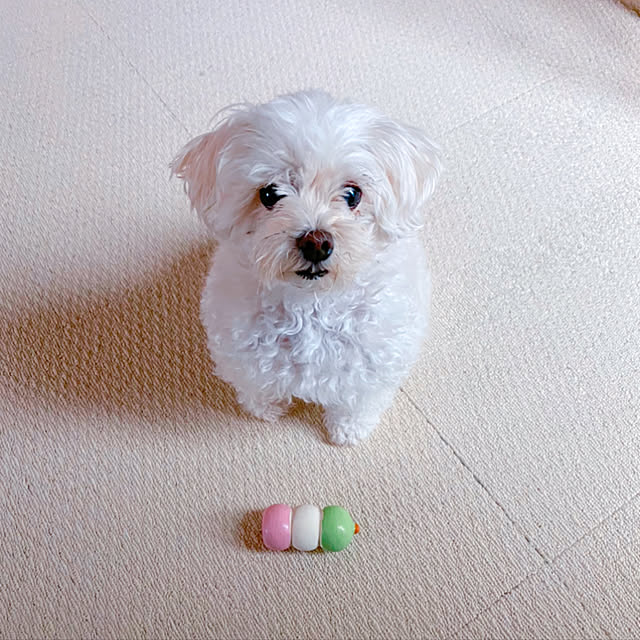 anzさんの実例写真