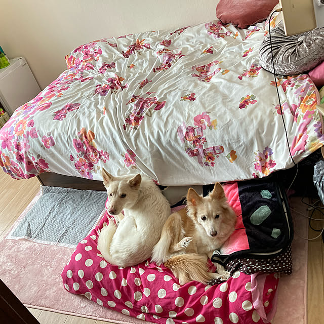 cheminさんの実例写真