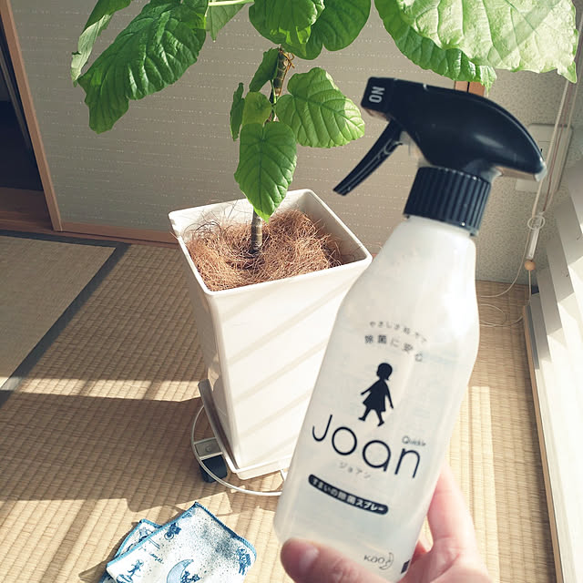tan5さんの実例写真