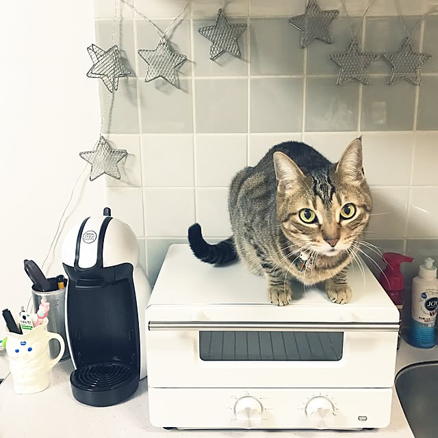 Hotateさんの実例写真