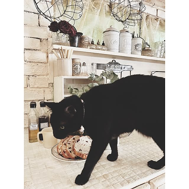 ataさんの実例写真