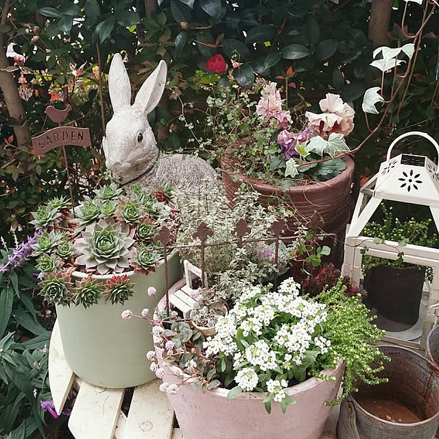 totonatuloveさんの実例写真