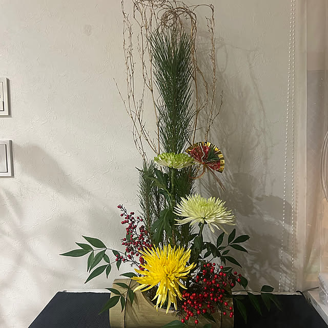 speranzaさんの実例写真