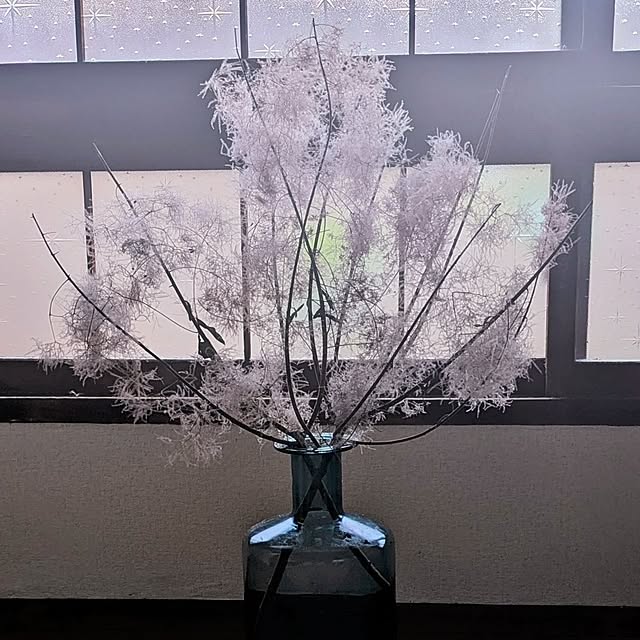 monnさんの部屋
