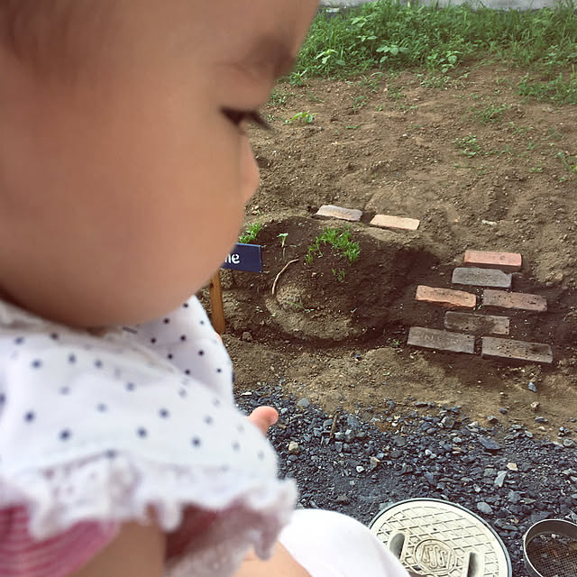 PIYOLANDさんの実例写真