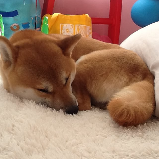 kotaさんの実例写真