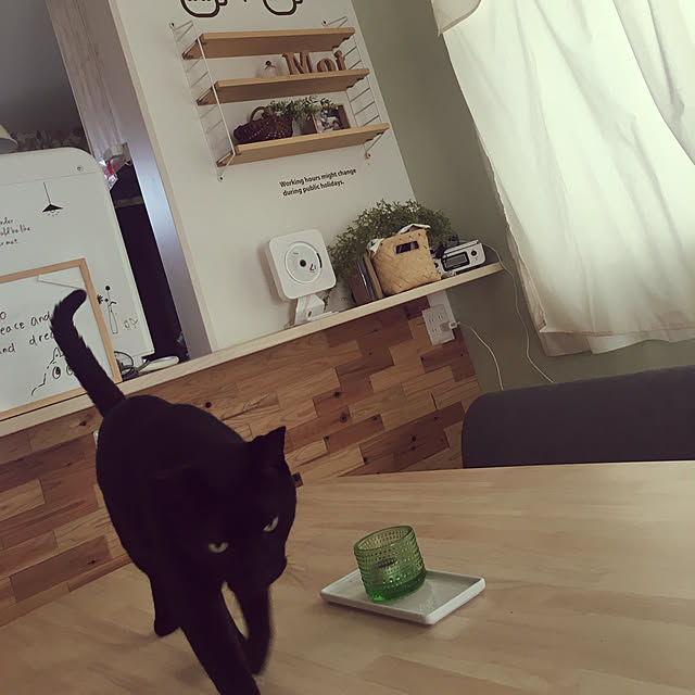Kaoさんの実例写真