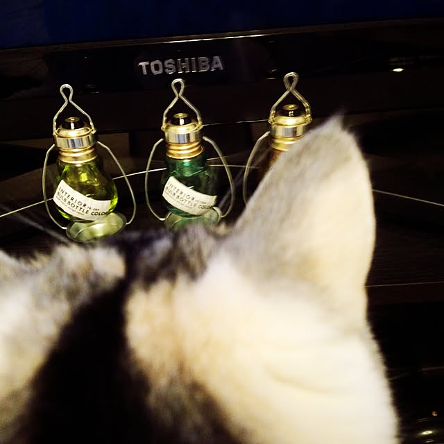 yukiさんの実例写真