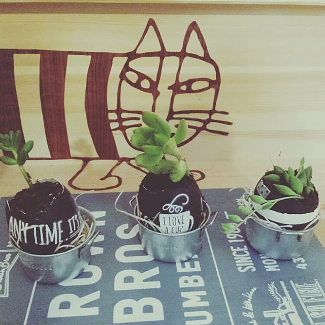 seiさんの実例写真