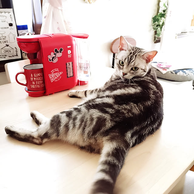 kumingさんの実例写真