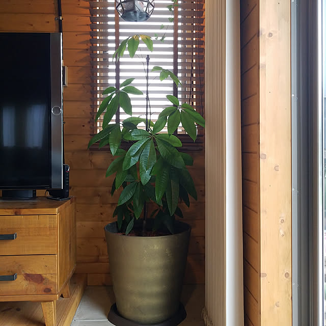 crapgreenさんの実例写真