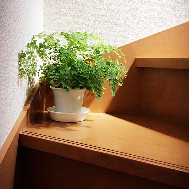 emiさんの実例写真