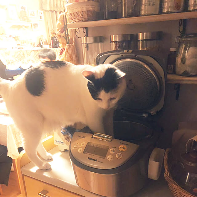 minさんの実例写真