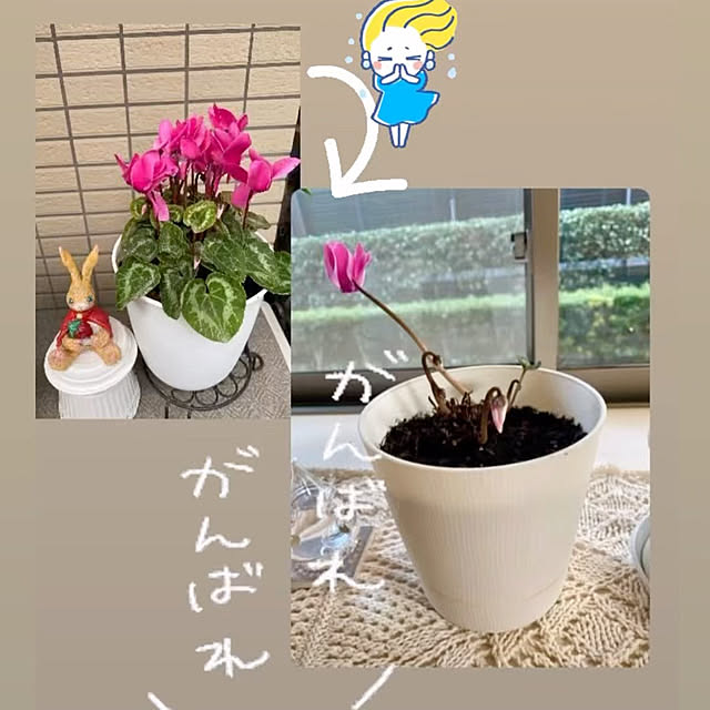 YuuKoさんの実例写真
