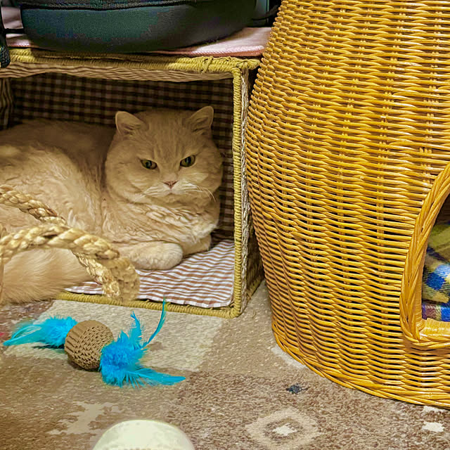 naokoさんの部屋