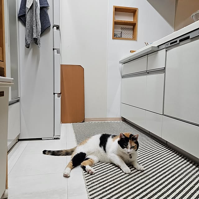 koyurizuさんの部屋