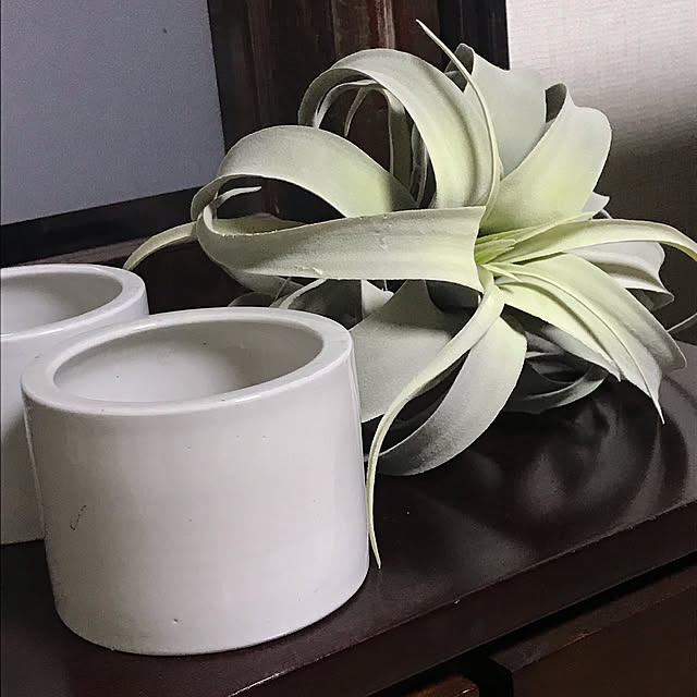 リビング/古道具のある暮らし/古道具/古物/陶器...などのインテリア実例 - 2019-02-17 11:27:44