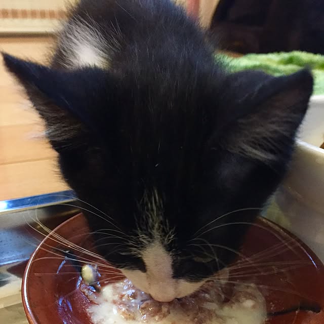 butachanさんの実例写真