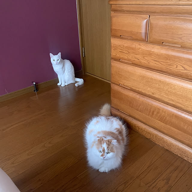 keiさんの部屋