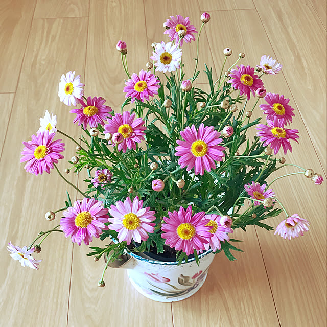 fuyiqian1026さんの実例写真