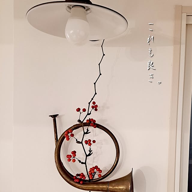 kankanmom_horn_5catsさんの部屋