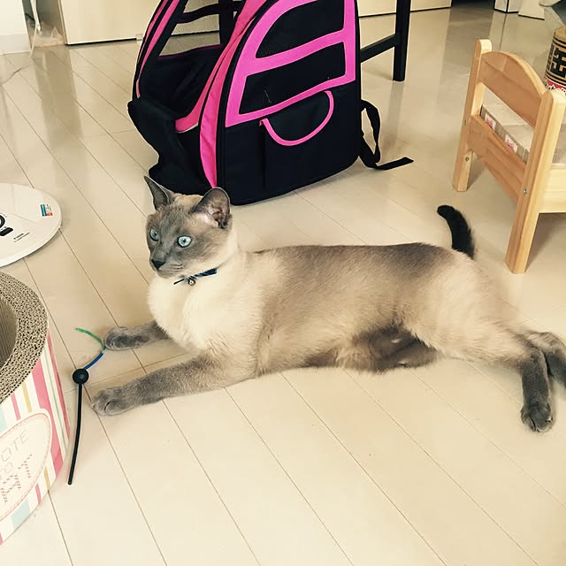makikoさんの実例写真