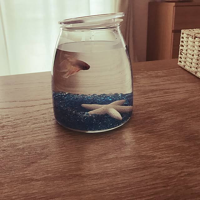 maimaiさんの実例写真