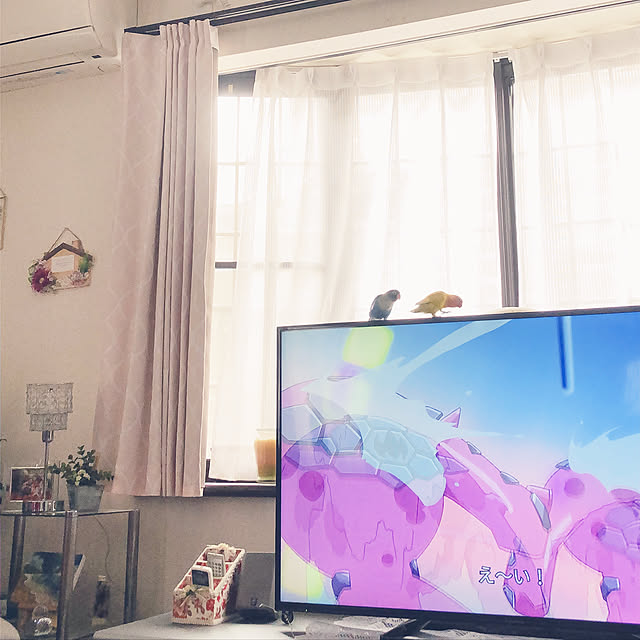 Saraさんの実例写真