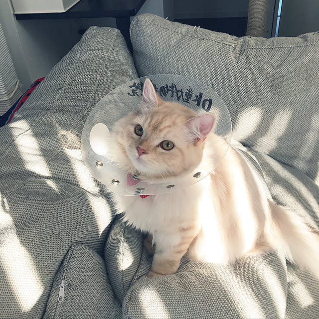 takiさんの実例写真