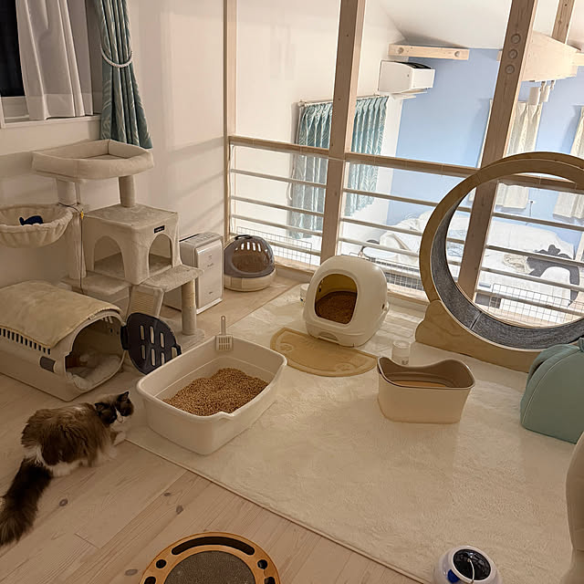 niuさんの実例写真