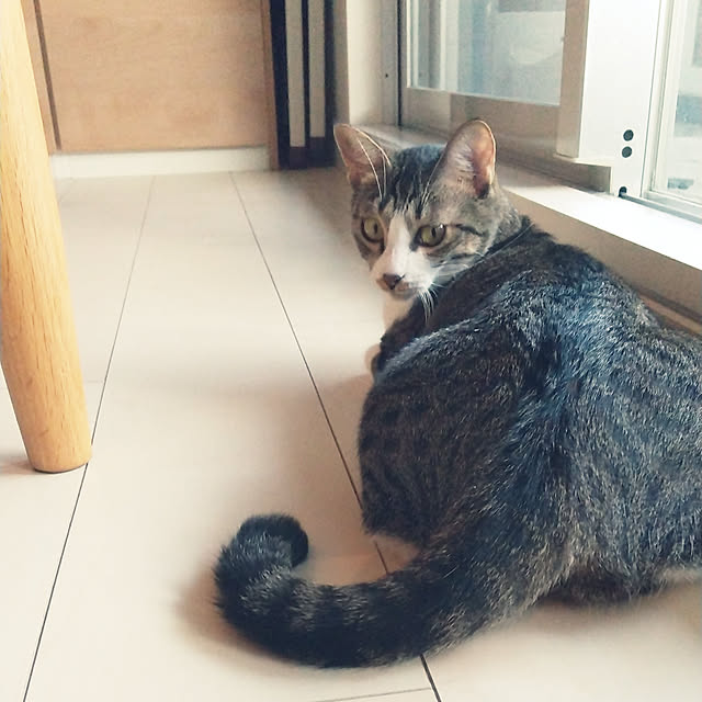 hanacocoさんの実例写真