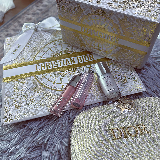DIOR ディスプレイ オブジェ赤虎(DIOR | レディディオール DIOR ディスプレイ オブジェ赤虎(DIOR | レディディオール