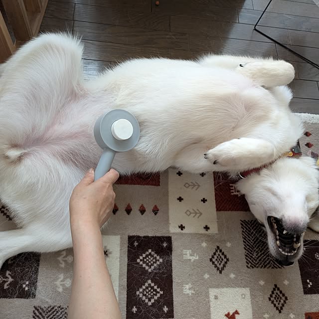 asaさんの実例写真