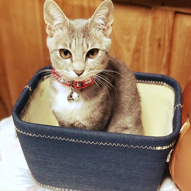ayooさんの実例写真