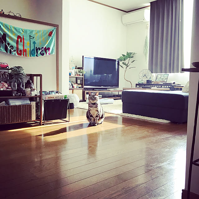 yukkki0610さんの実例写真