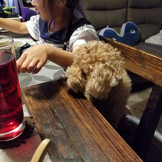 midoriさんの部屋