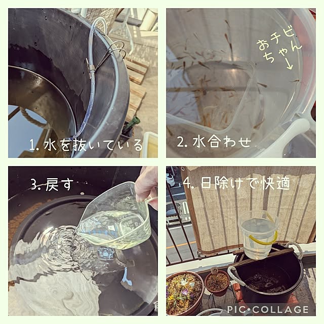 mi-saさんの部屋
