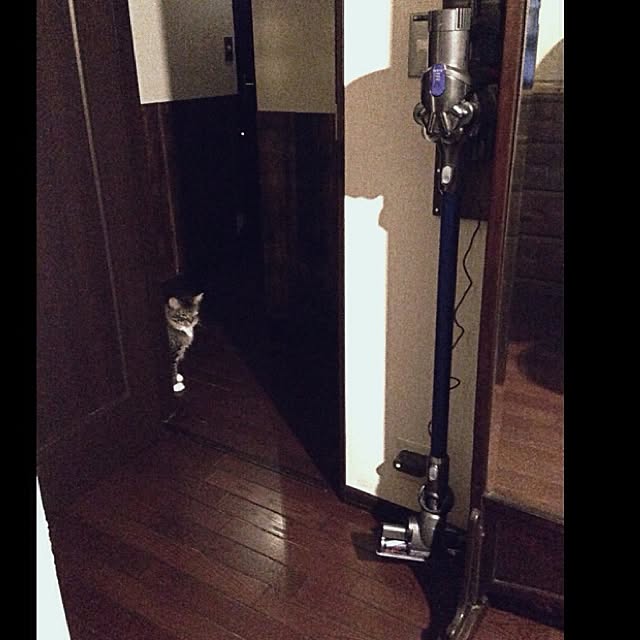 jnkaiさんの実例写真