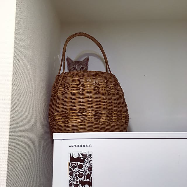 mikomaruさんの実例写真