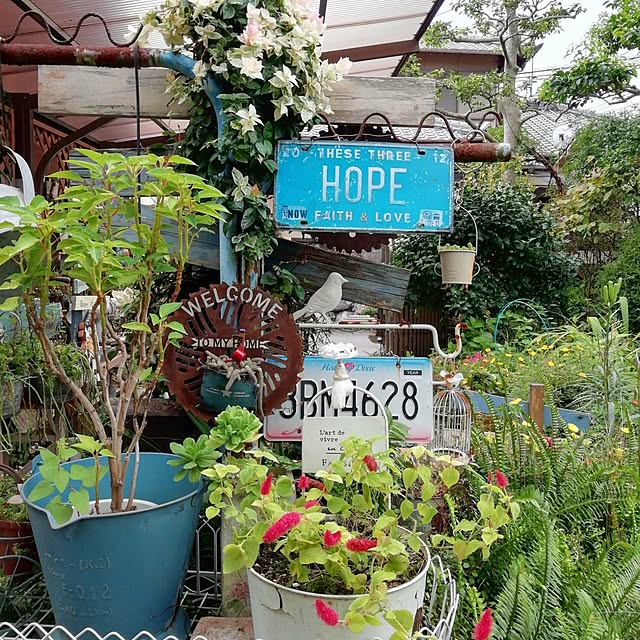 haruiroさんの部屋
