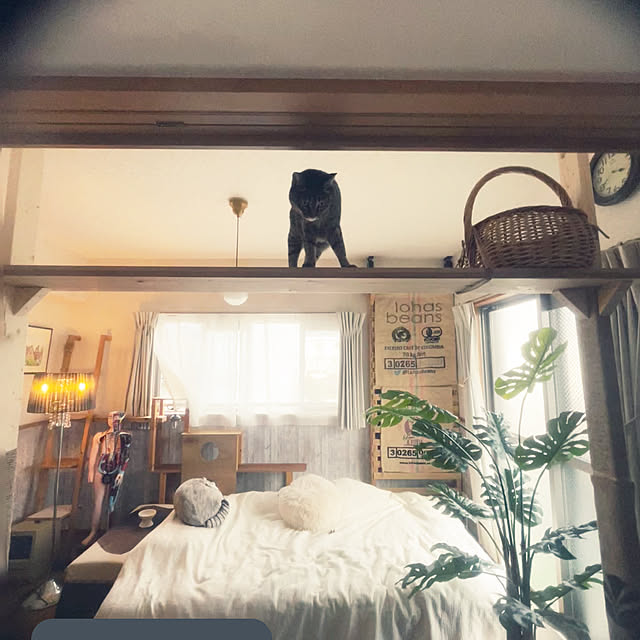 Mさんの実例写真