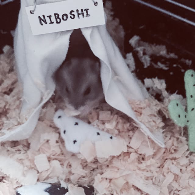 chiiiii0808さんの実例写真